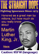 Experts generally agree that Martin Luther King  plagiarized large portions of his writings and speeches, including the famous ''I have a dream'' speech he gave at the 1963 civil rights rally in Washington.